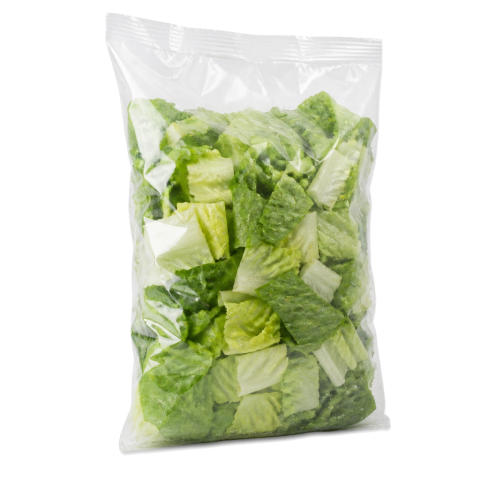 Lechuga Romana