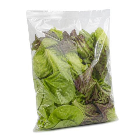 Lechuga mantequilla